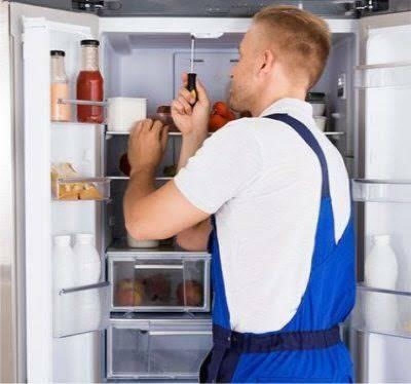Assistencia Tecnica Electrolux Refrigerador Orçamento Região Central - Assistencia Tecnica Refrigerador com Defeito